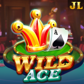 Wild Ace Slot - Bunny Casino